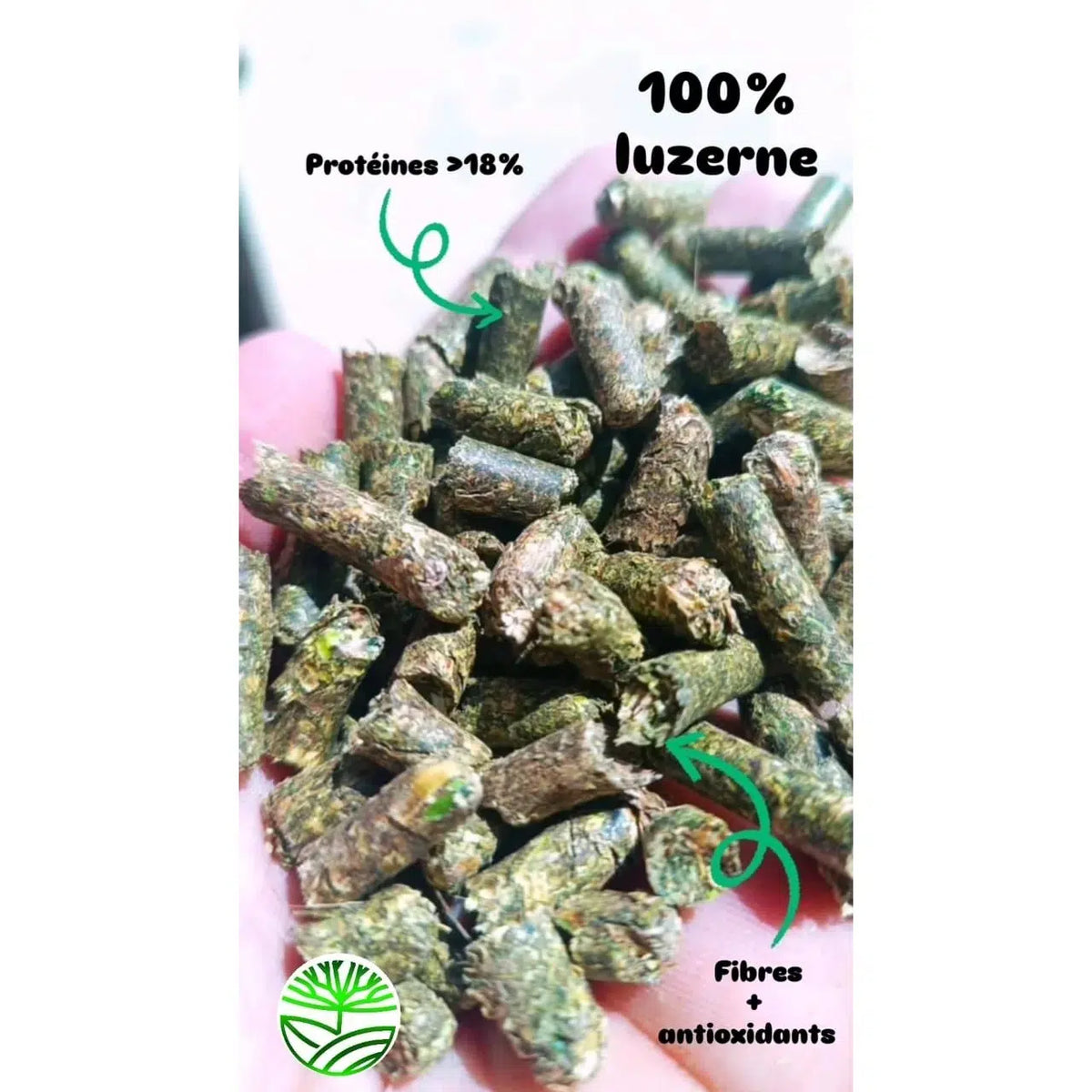 Bouchon luzerne premium 100 pourcent naturel riche en protéines