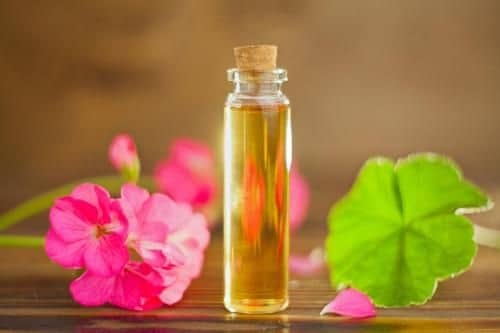 Eau de géranium - artisanat Tunisien fait main | ILEYCOM