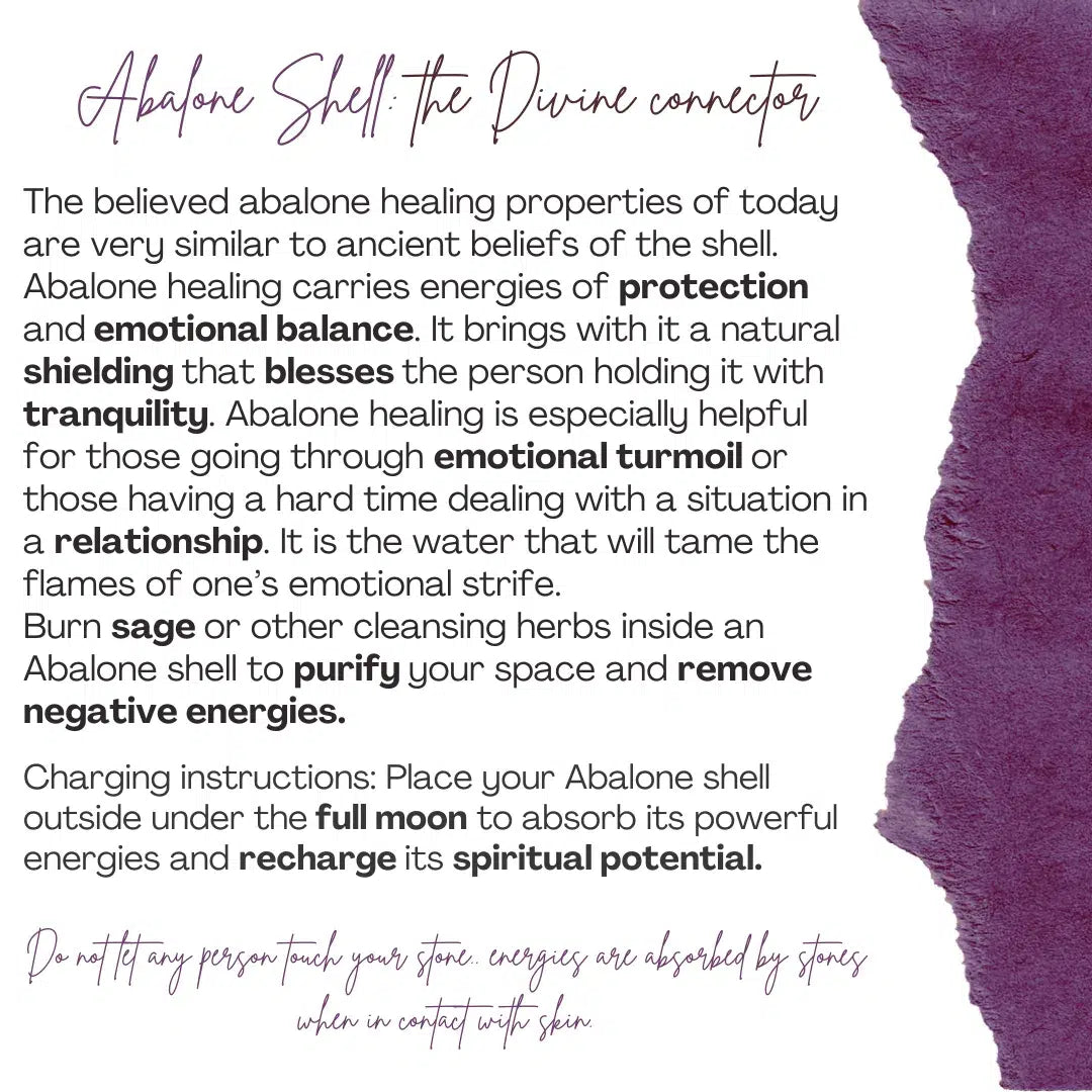 Collier Abalone Coquille Argent 925 - Éclat Naturel Océanique