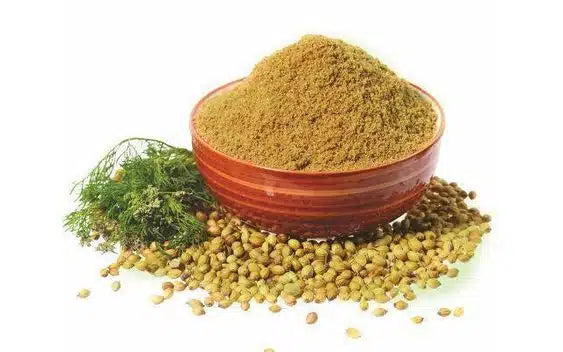 Coriandre épice en pot – تابل مرحي