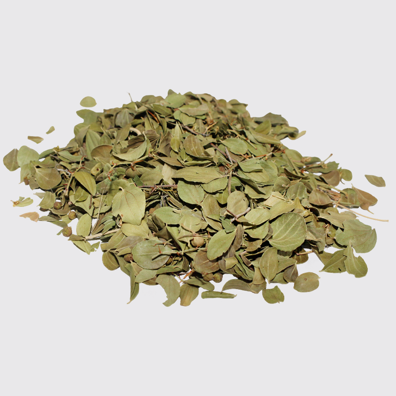 Feuille de Jujubier - Sidr - 100gr أوراق السدر