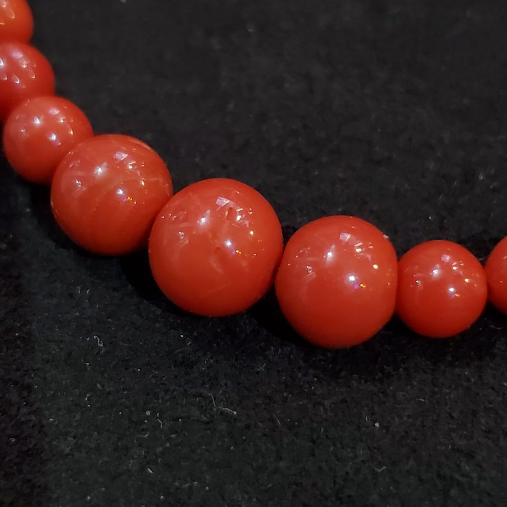 Collier corail rouge naturel et boucles d oreilles exclusives