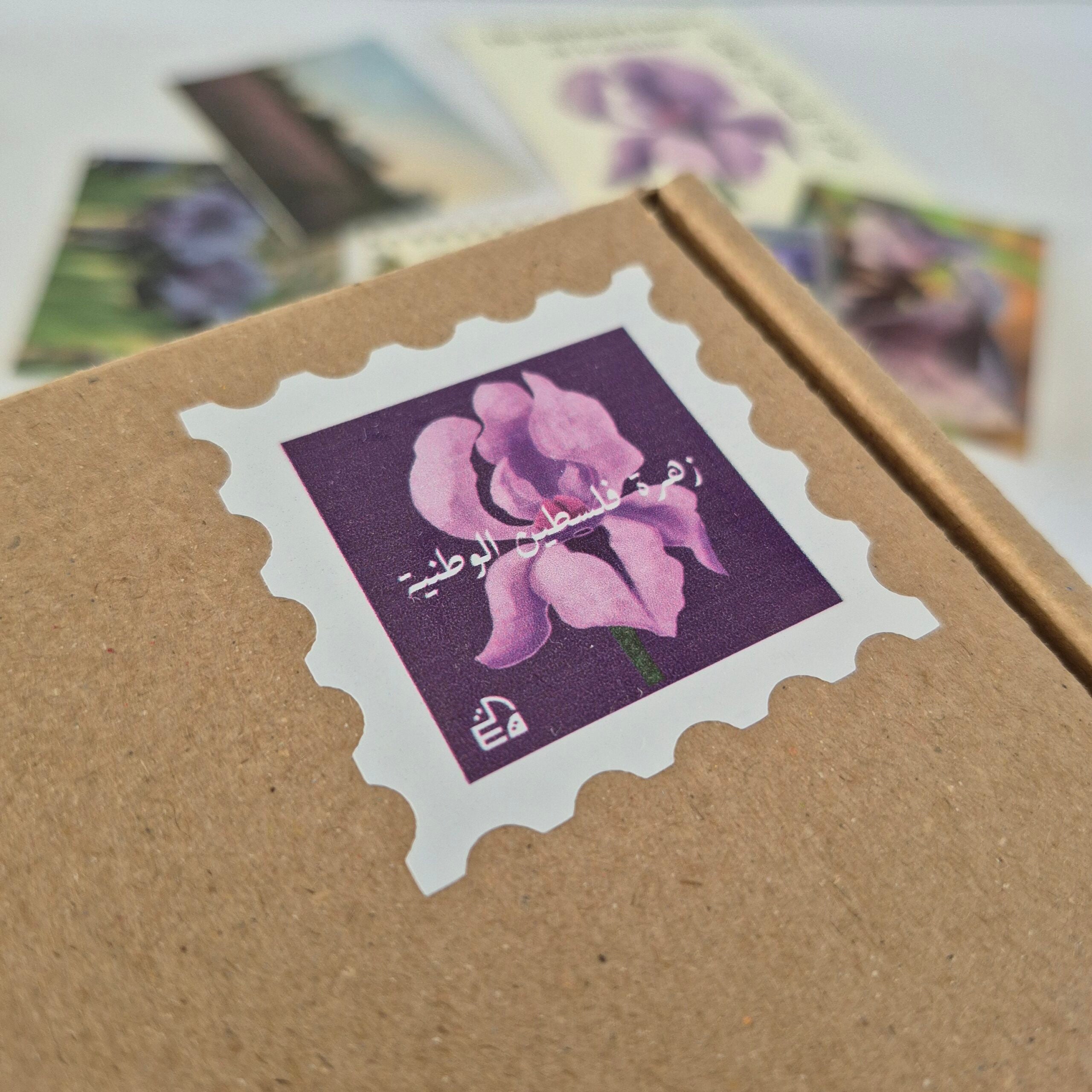 Bougie "The national flower of Palestine" avec carte postale et enveloppe photos