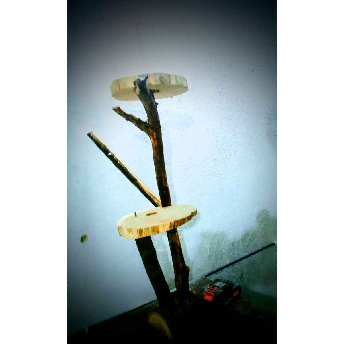 étagère arbre en bois olivier sauvage fabrication artisanale premium