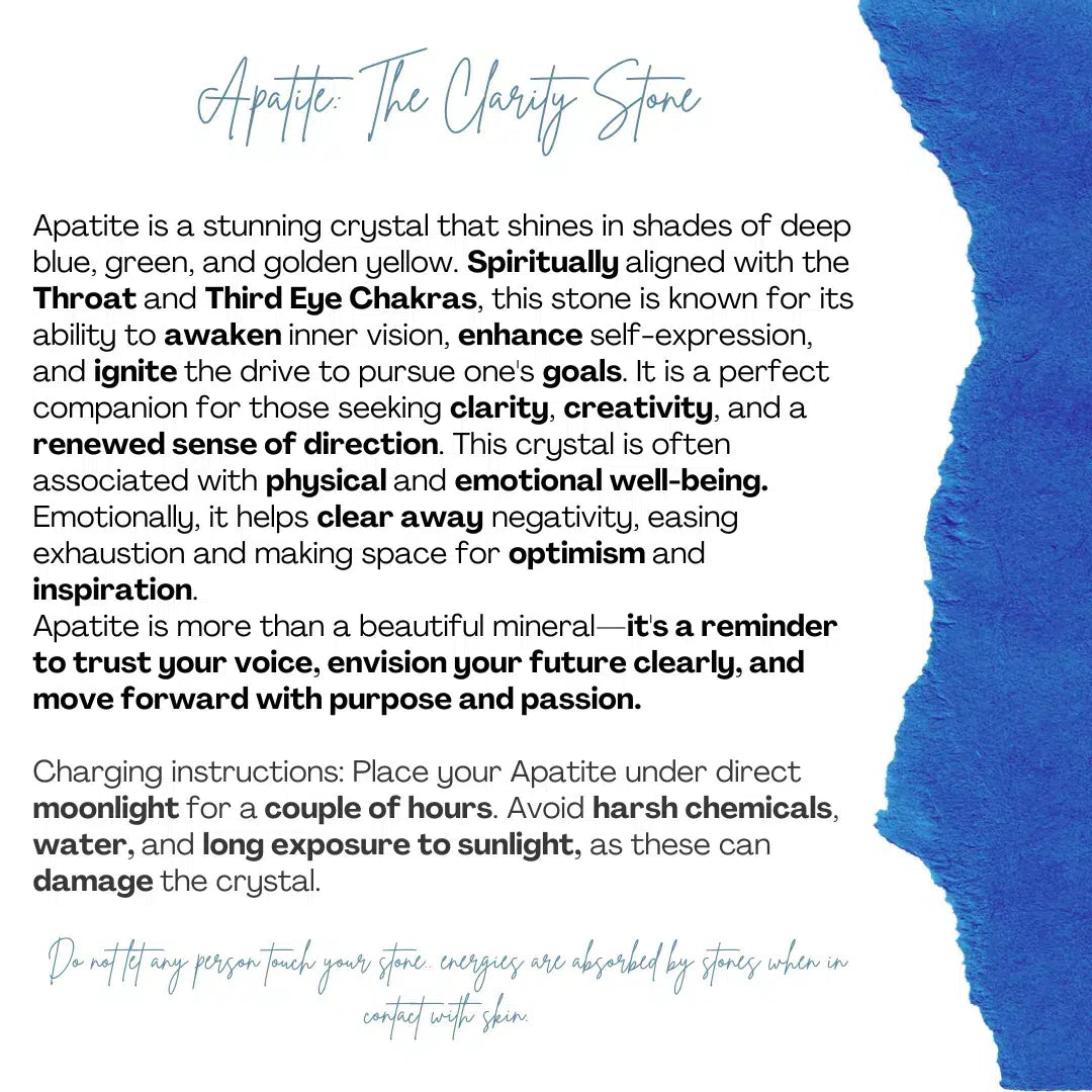 Bracelet apatite bleue brute