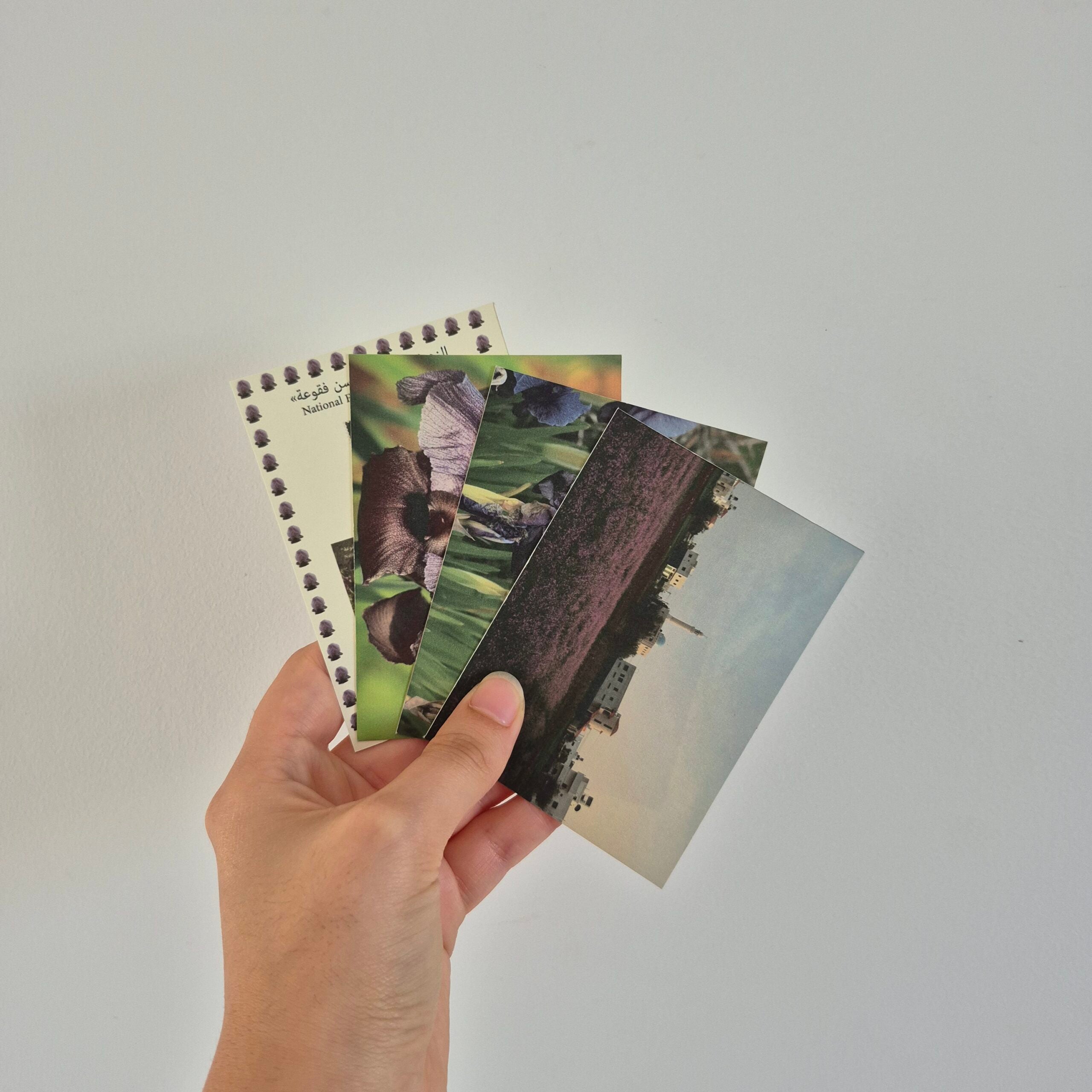 Bougie "The national flower of Palestine" avec carte postale et enveloppe photos