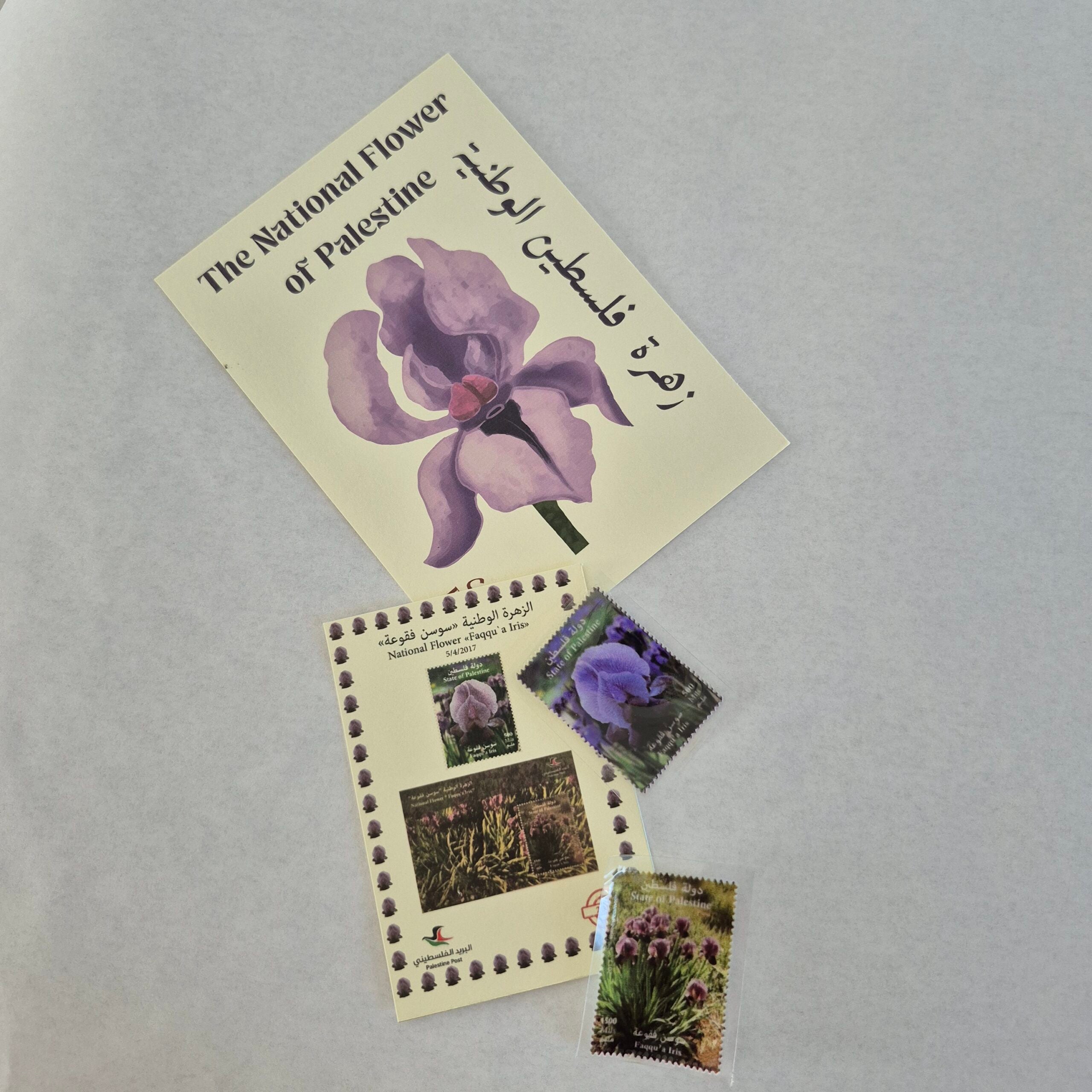 Bougie "The national flower of Palestine" avec carte postale et enveloppe photos