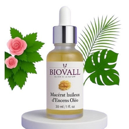 macérat huileux d'encens d'oliban pour une peau éclatante