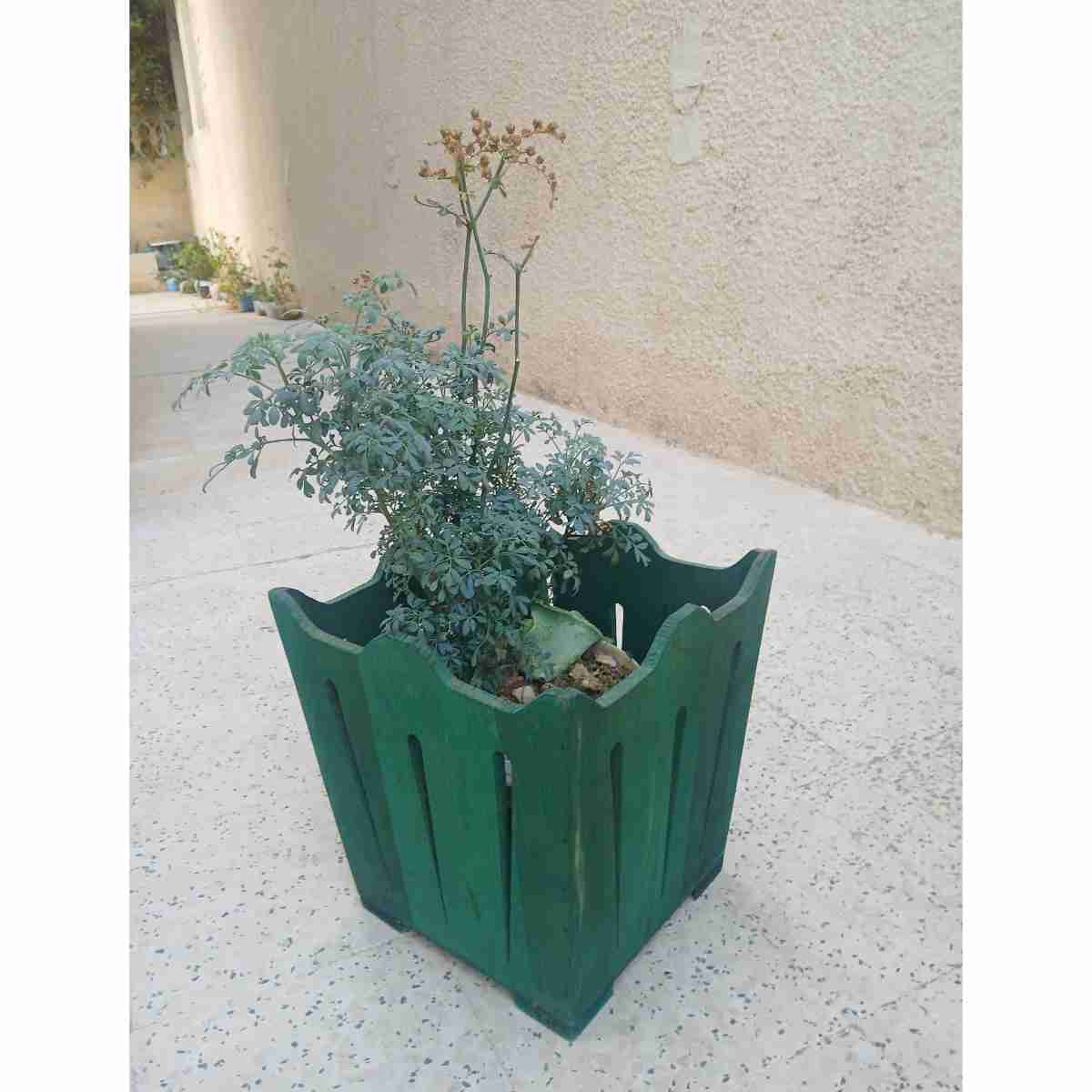 Panier en bois frenn