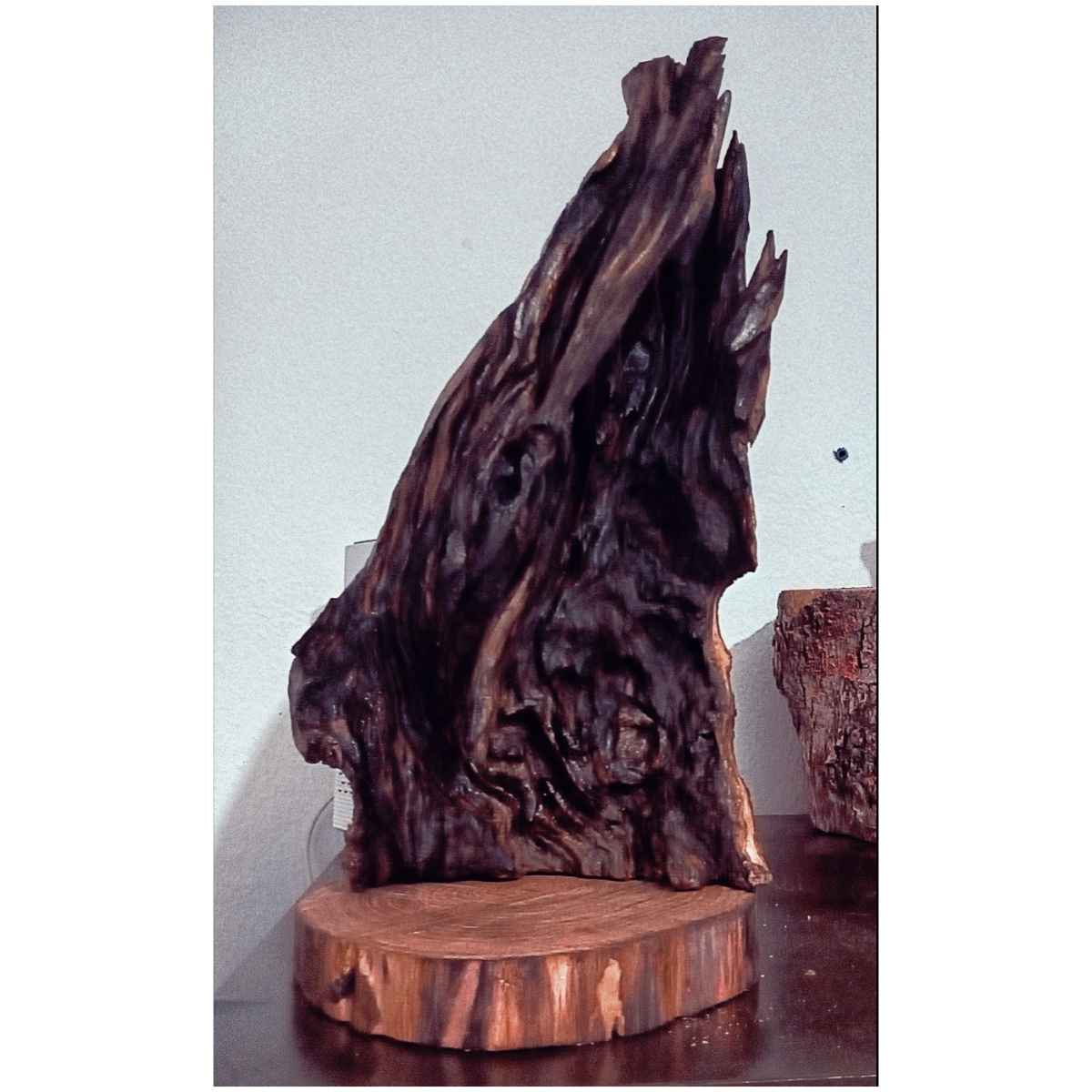 sculpture bois flamme fossilisée pour un intérieur unique