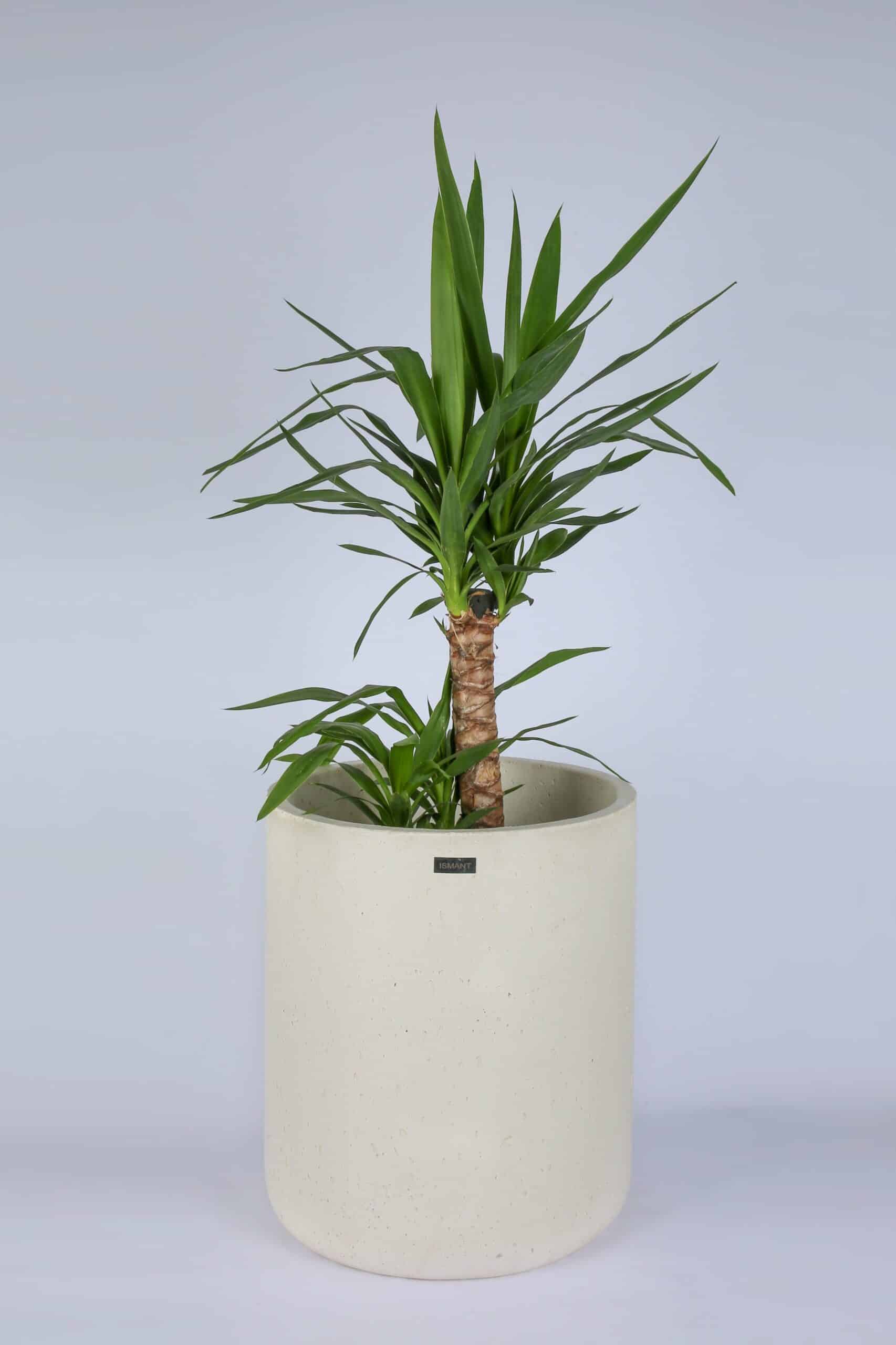 Pot Luna XXL