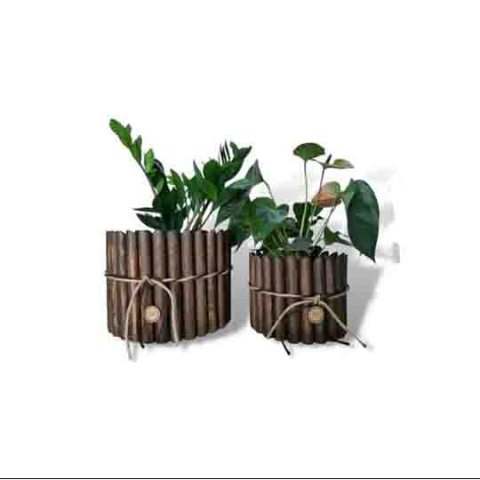 Pots de plante en bois - artisanat Tunisien fait main | ILEYCOM