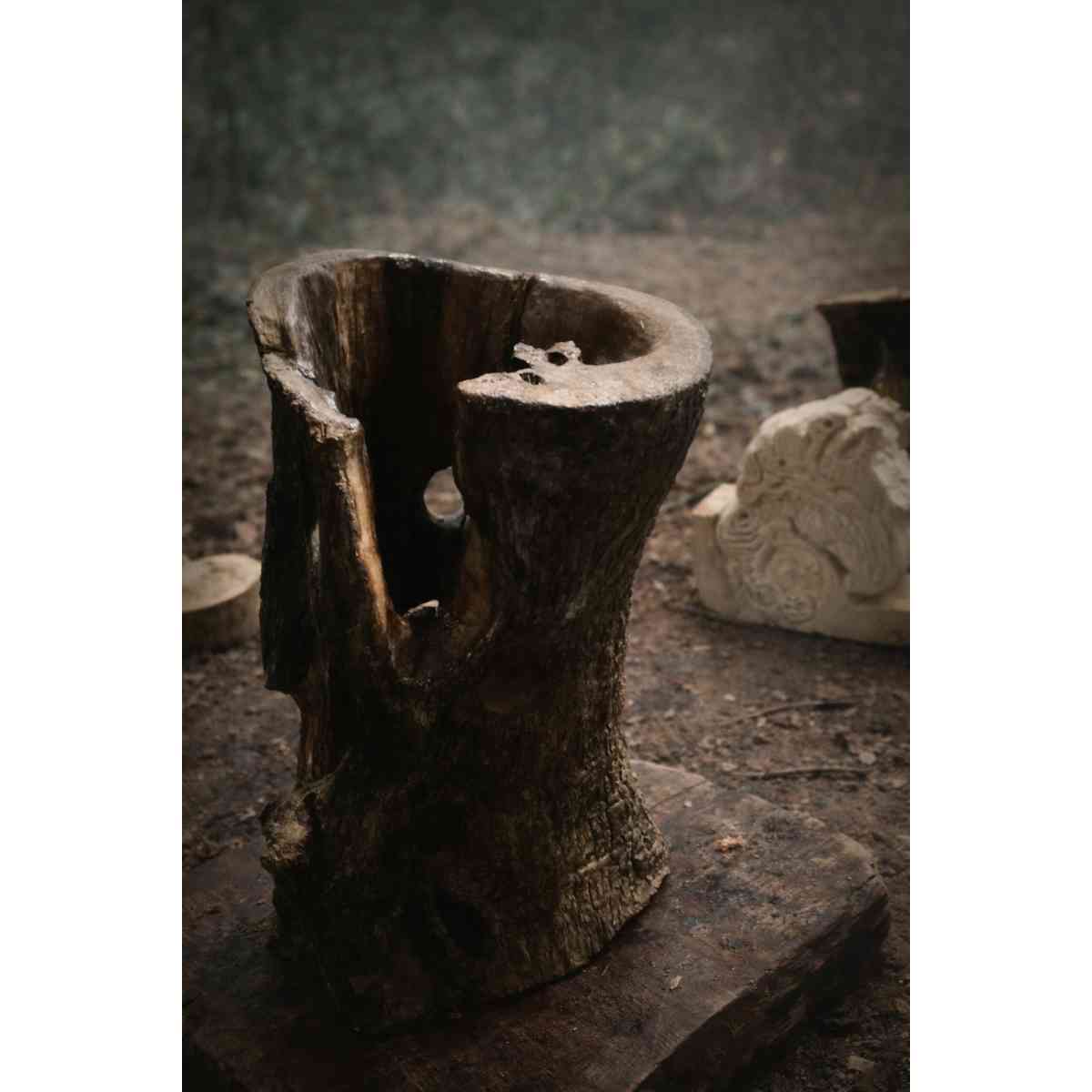 lampe tronc d'arbre design unique pour une ambiance chaleureuse