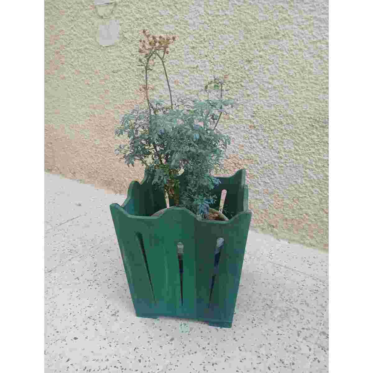 Panier en bois frenn