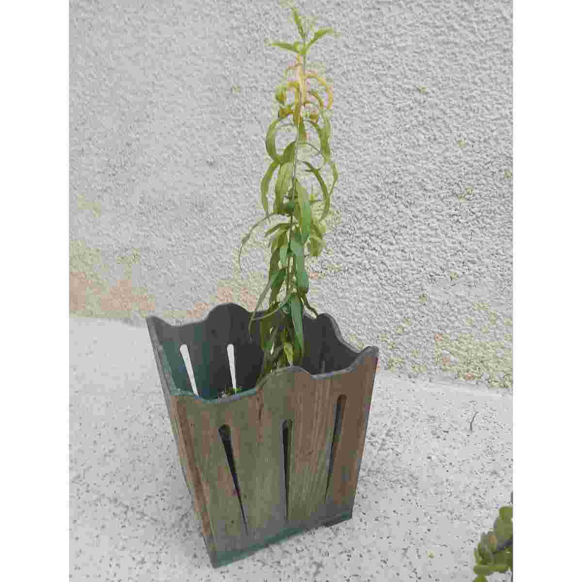 Panier bois authentique pour un rangement élégant et pratique