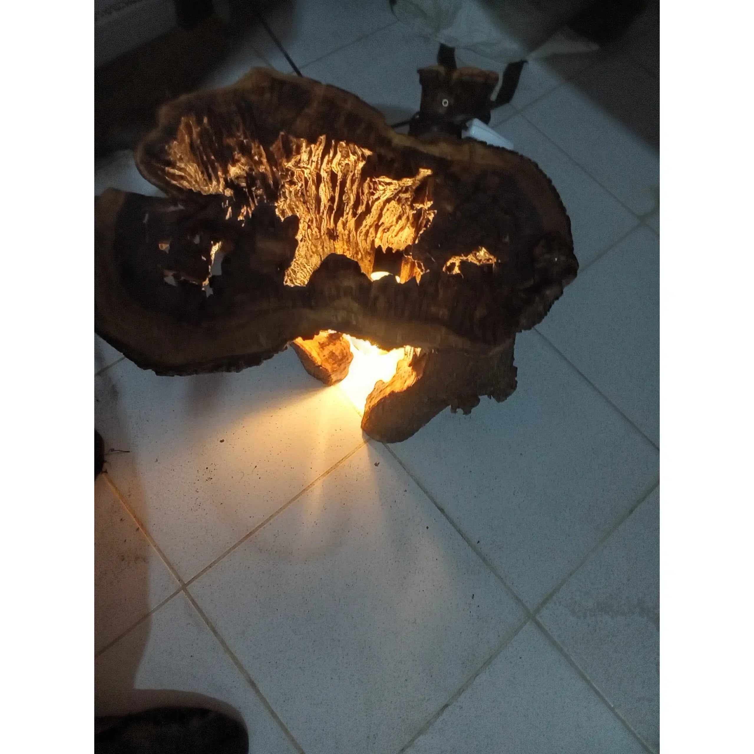Table Veilleuse Sculptée en Bois Brut et Verre - Éclat Naturel