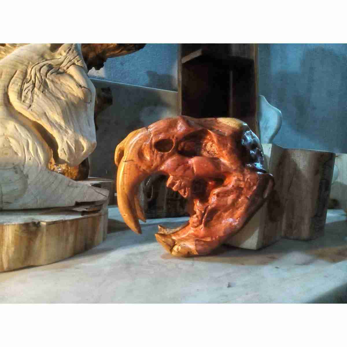 sculpture bois Crâne de Smilodon en bois noble unique premium