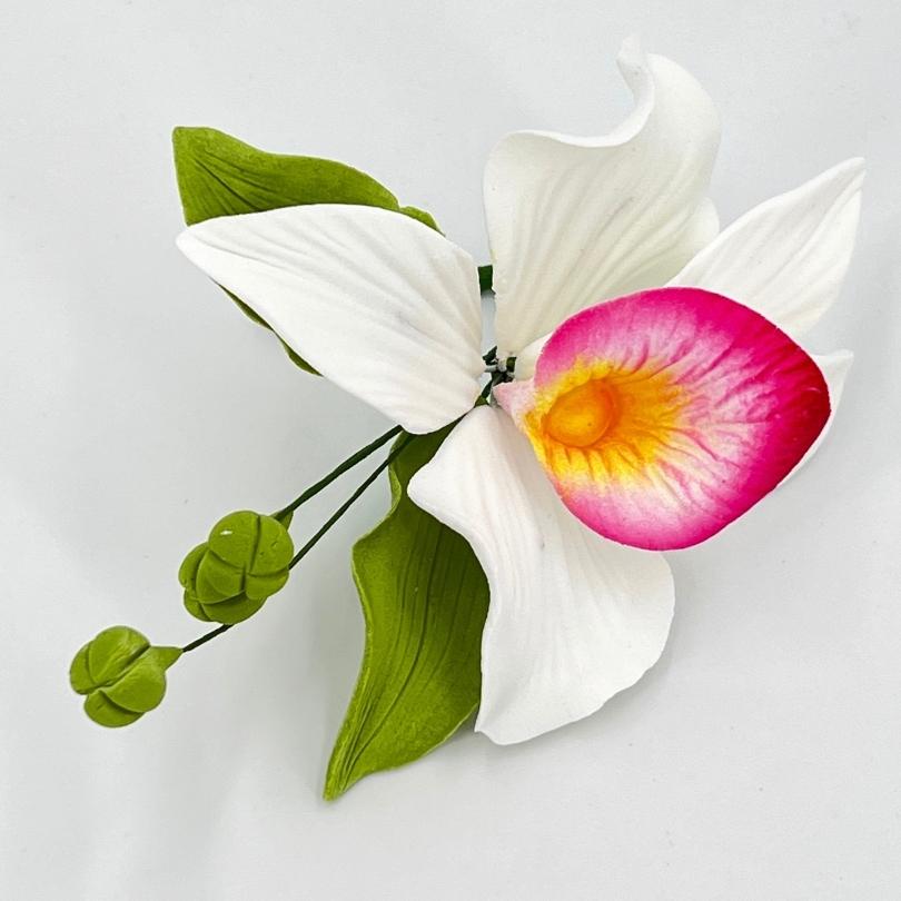 Edible sugar “mini wild orchid” flowers