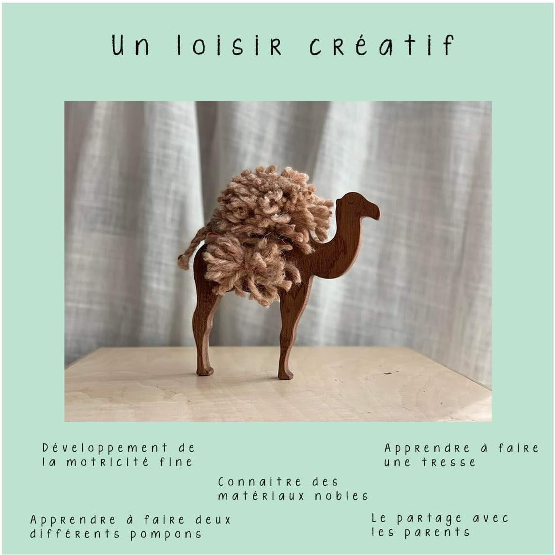 Box "Rends la bosse du dromadaire" - artisanat Tunisien fait main | ILEYCOM