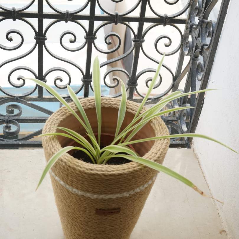 Cache pot en corde de jute, en fibre naturelle 100% fait-main - artisanat Tunisien fait main | ILEYCOM