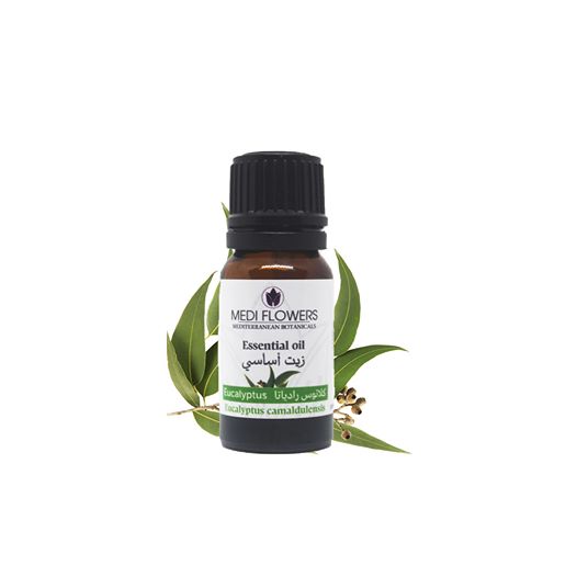 Huile essentielle d'Eucalyptus - artisanat Tunisien fait main | ILEYCOM